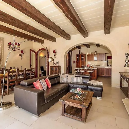 Levecca 1 - Gladiola Għasri